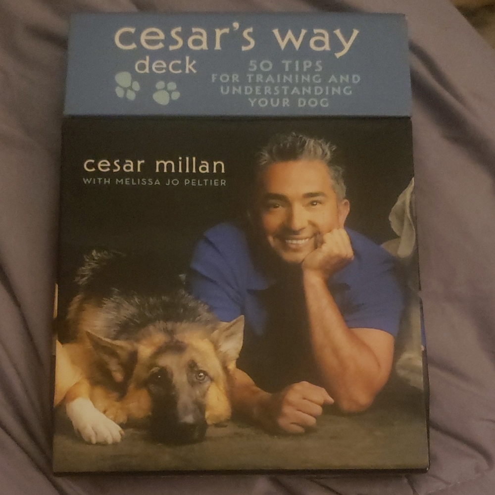 Cesar's Way Deck - 50 Tips for Dog Training